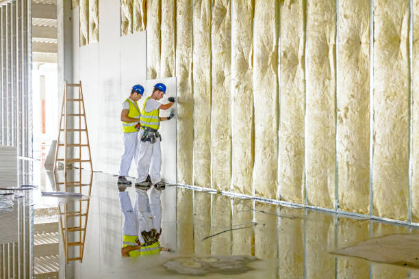 Insulation Replacement Services in Irondale, GA